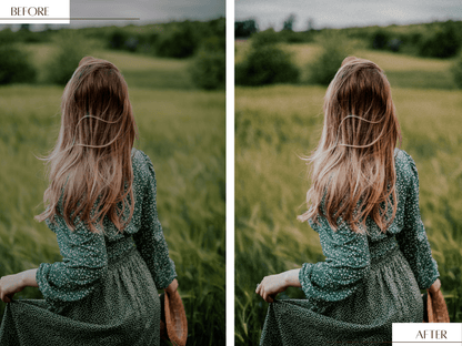 Polaroid Vibes video LUTs