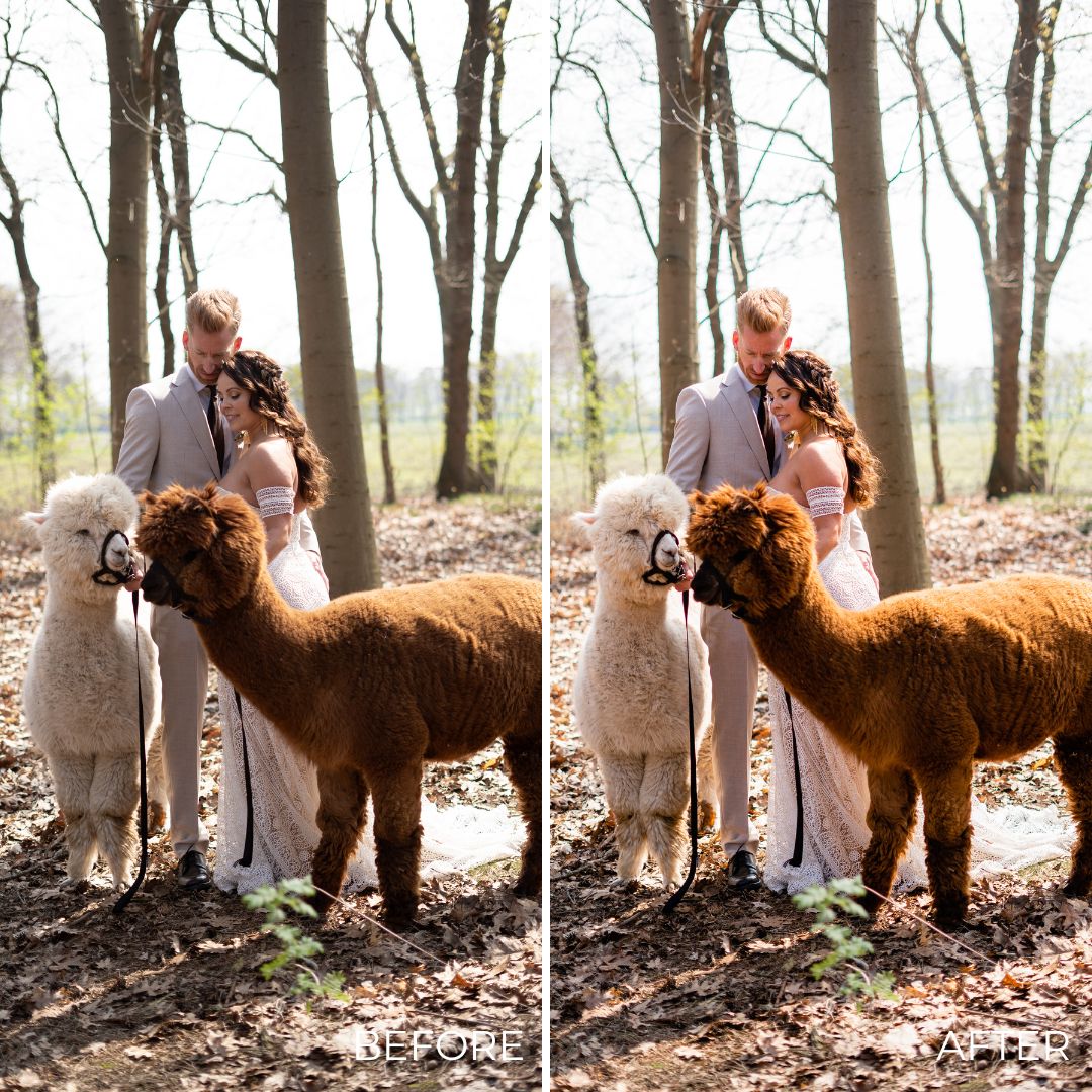 NATURAL WEDDING | Creëer adembenemende natuurlijke bruidsfoto's