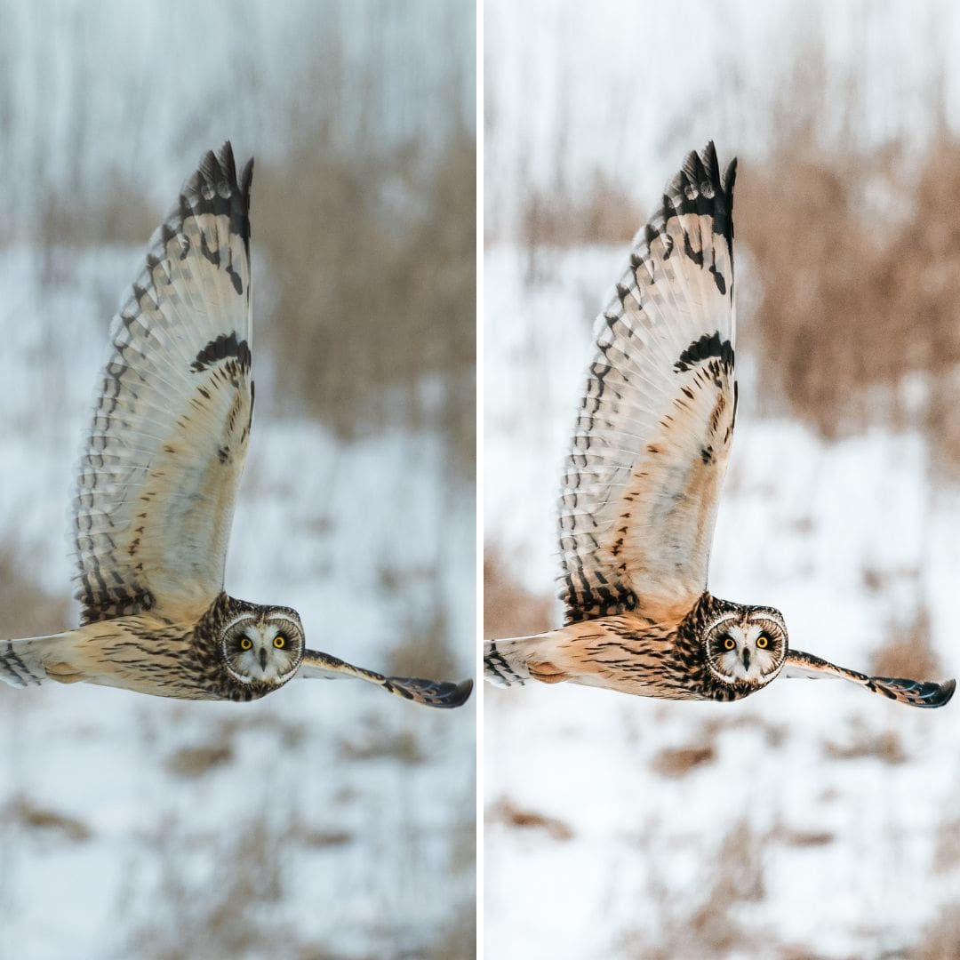 NATURE | Creëer adembenemende natuurfoto's