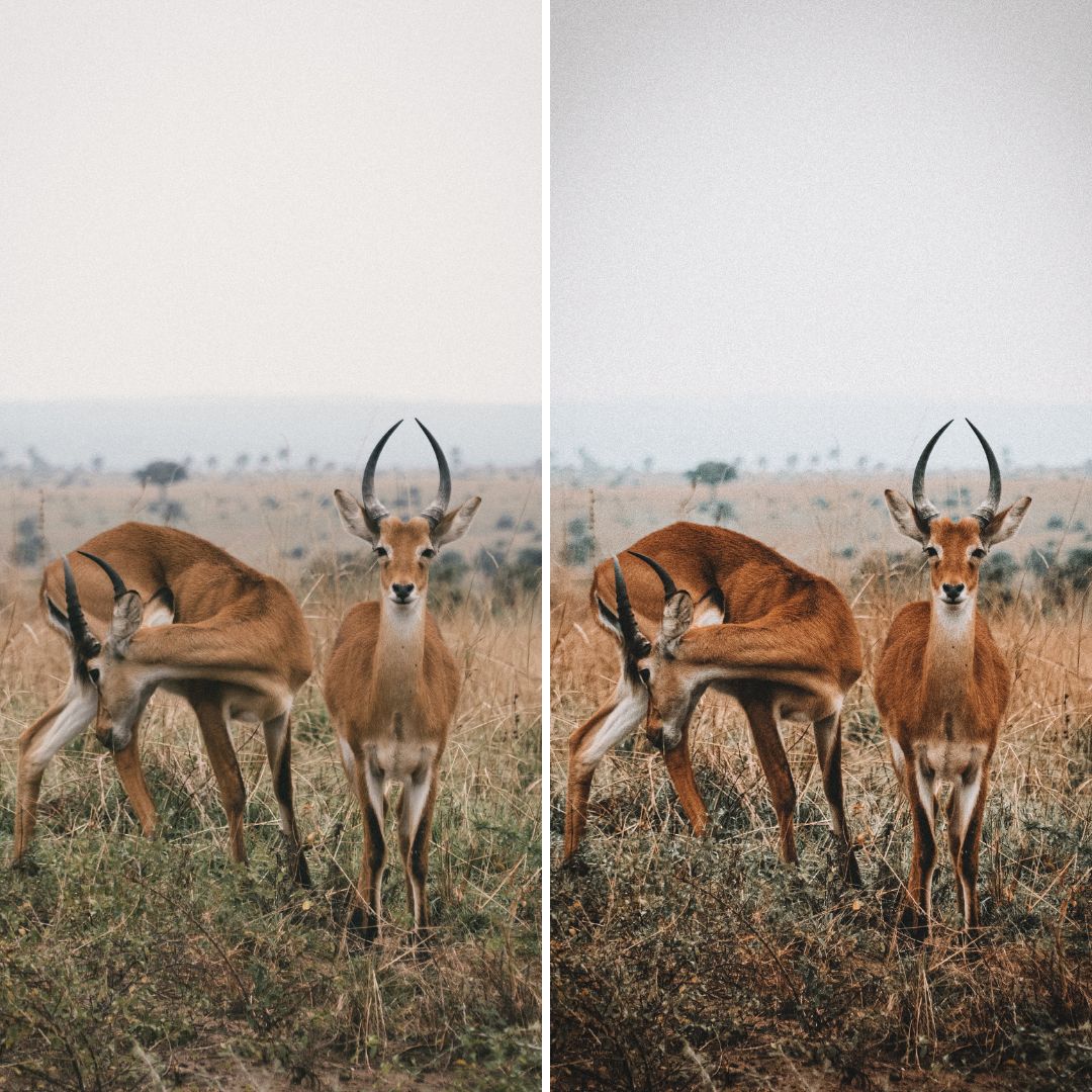 NATURE | Creëer adembenemende natuurfoto's