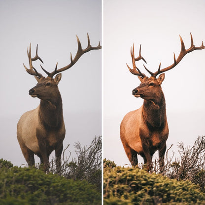 NATURE | Creëer adembenemende natuurfoto's