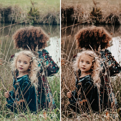 De MOODY preset collection