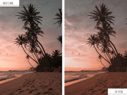 Polaroid Vibes video LUTs