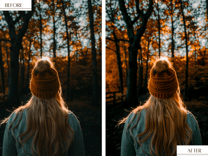 De AUTUMN VIBES preset collection