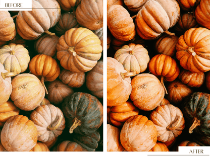 Autumn video LUTs