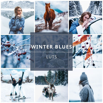 Winter Blues video LUTs