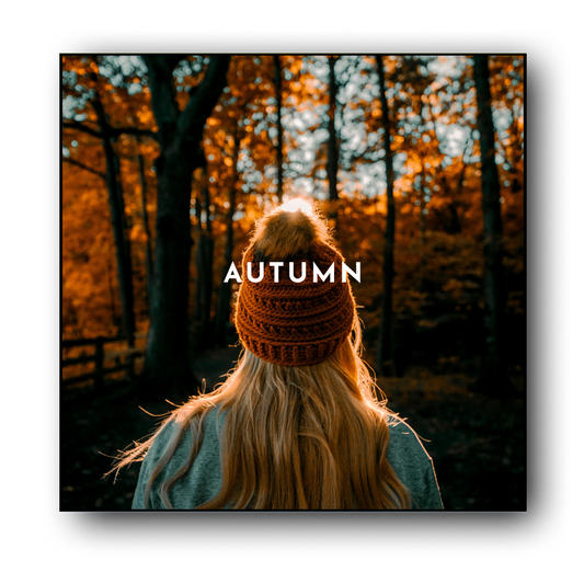 De AUTUMN VIBES preset collection