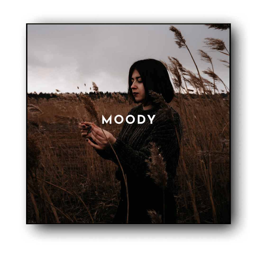 De MOODY preset collection