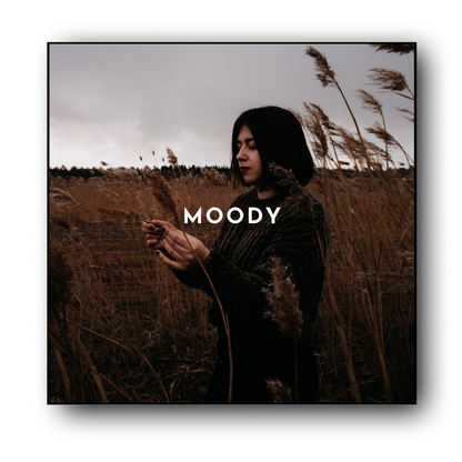 De MOODY preset collection