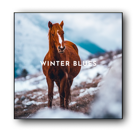 De WINTER BLUES preset collection