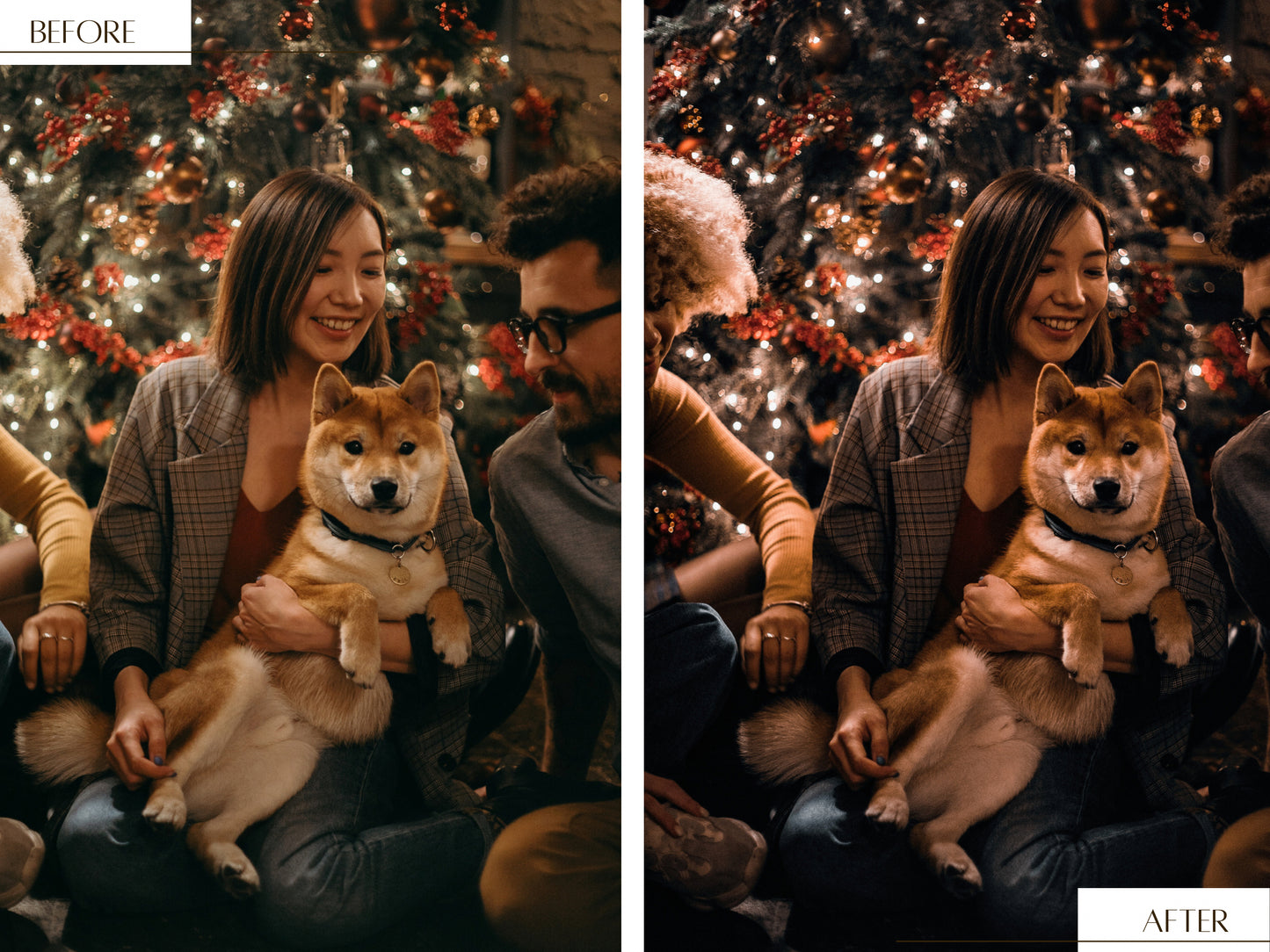 Warm &amp; Cozy Winter video LUTs