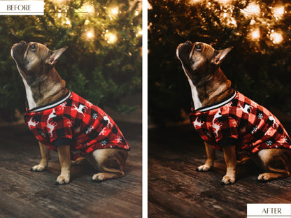 Warm &amp; Cozy Winter Lightroom presets